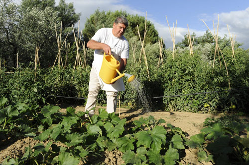Daniele al lavoro