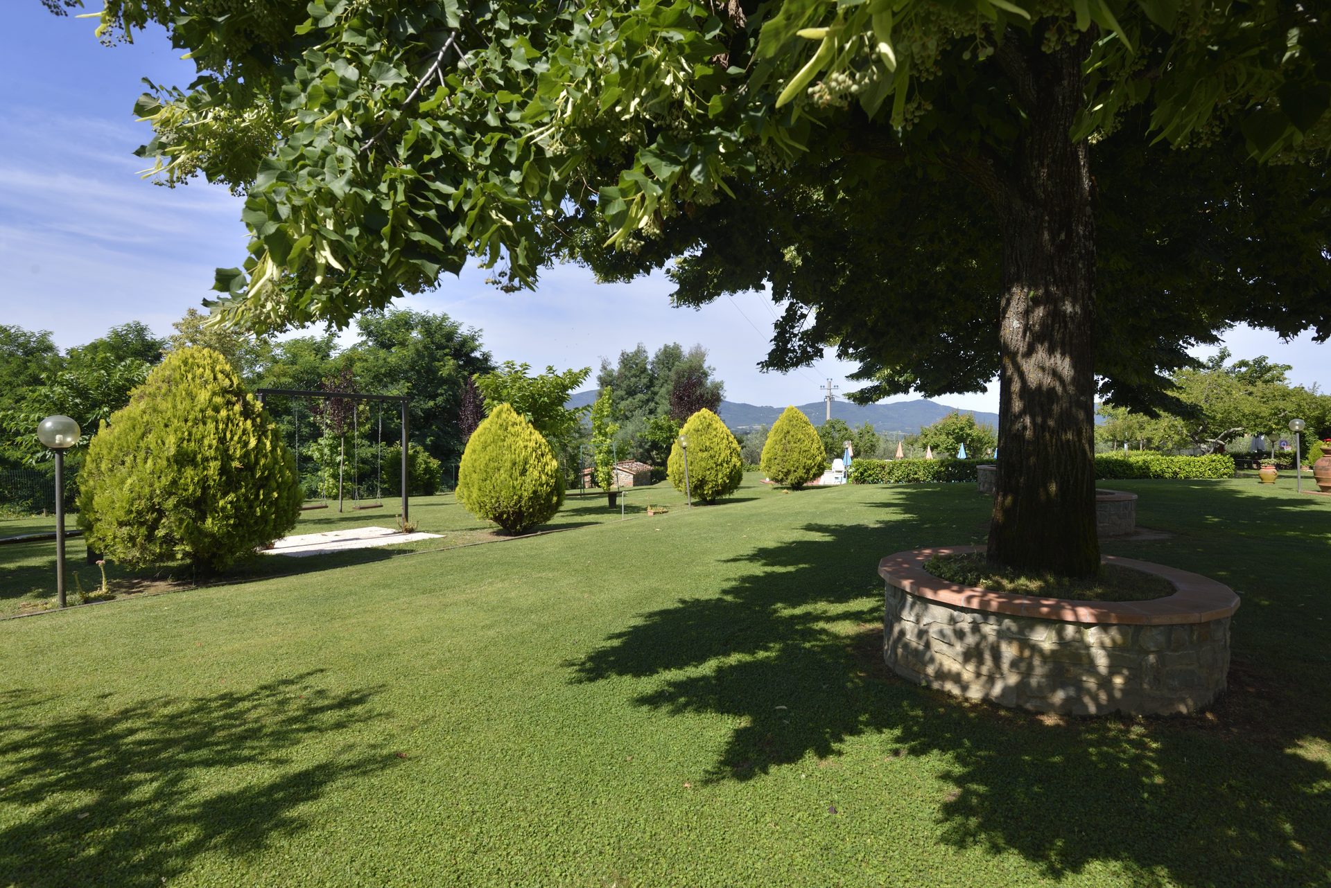 Il grande albero nel parco dell'agriturismo
